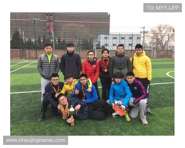 京城绿茵风云录：透视北京足球联赛排名背后的荣耀与挑战